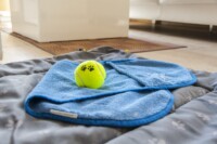 Hunde liegen auf Ihrer eigenen Decke